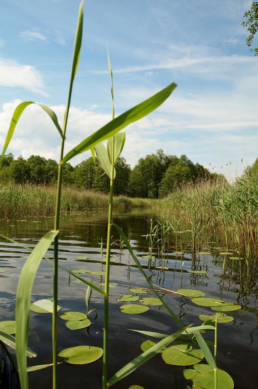Rybaczowka Luknajno Villa Mikołajki Kültér fotó